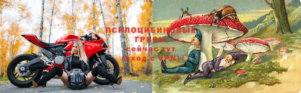 крисы Нестеровская