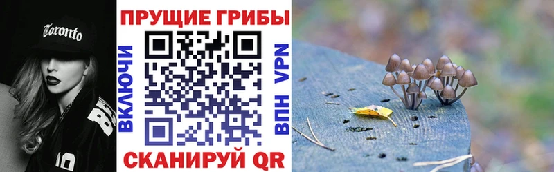 Псилоцибиновые грибы мухоморы  Купить где  Нерехта 